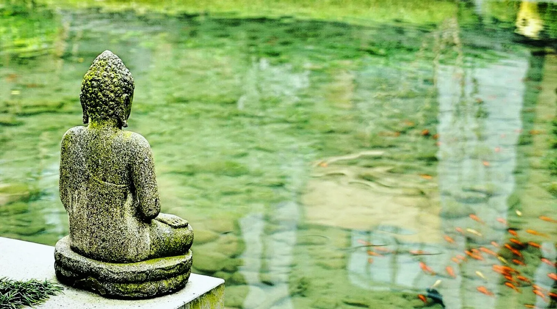 relaxbuddha